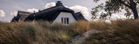 Ferienwohnungen auf Fischland-Darß-Zingst